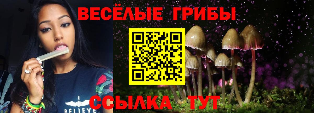 Галлюциногенные грибы ЛСД Азнакаево